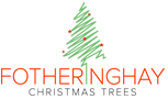 Fotheringhay Christmas Trees-Fotheringhay | Peterborough | United Kingdom